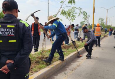 MEGA REFORESTACIÓN EN JESÚS MARÍA, SE PLANTARON MÁS DE 300 EJEMPLARES DE DISTINTAS ESPECIES