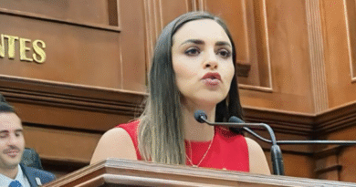 LA DIPUTADA ANA GÓMEZ DE MORENA IMPULSA LA PRIMERA INICIATIVA FIRMADA POR LOS 27 DIPUTADOS DEL CONGRESO